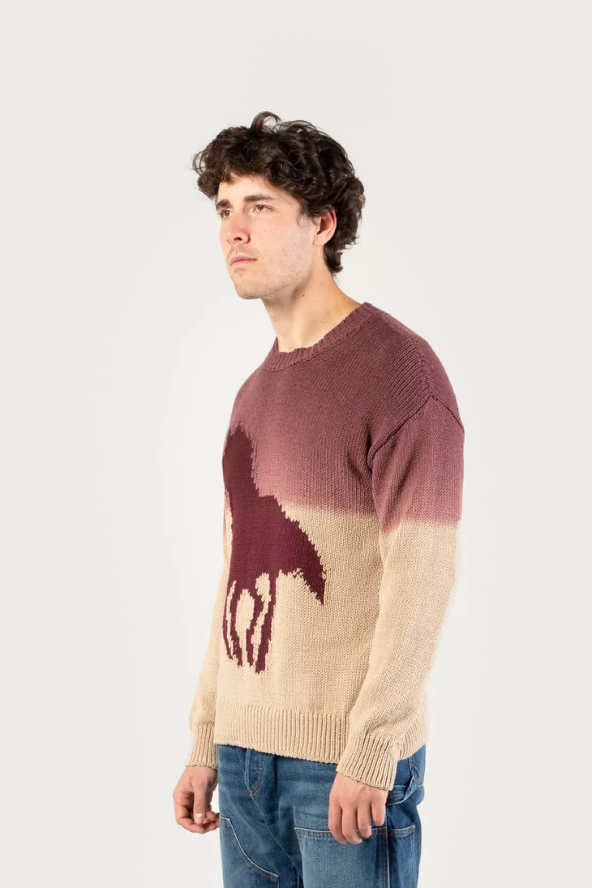 Uomo Woolrich One Of These Days / Woolrich | Maglieria>Maglia Girocollo In Misto Cotone Con Effetto Ombré - One Of These Days /